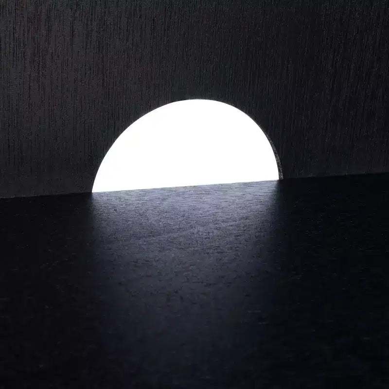 Meuble TV 2 portes 1 étagère – MDF et pin noirs